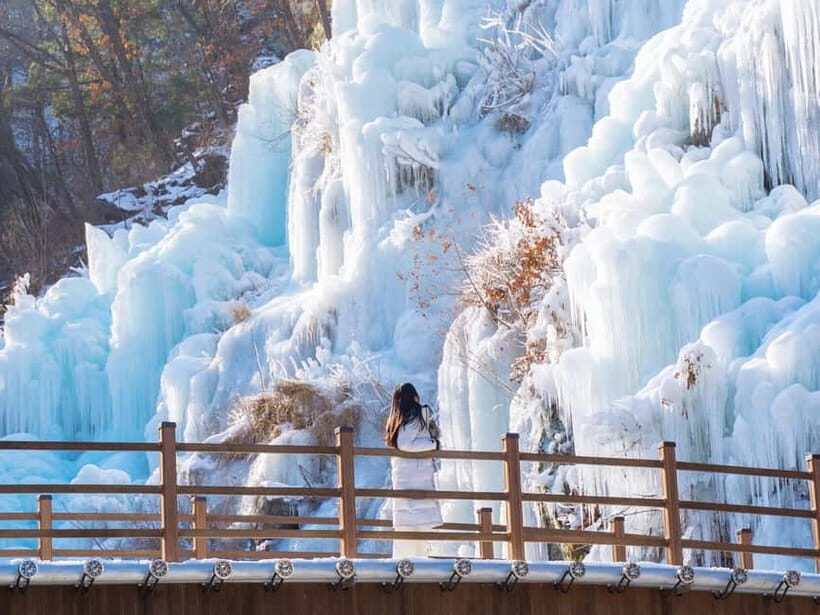Seoul: Eobi Valley(Winter), Strawberry, Nami Island and Bike - Who Should Book This Strawberry, Nami, and Railbike Day Trip