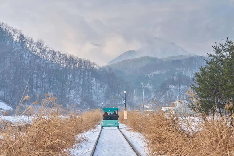 Seoul: Eobi Valley(Winter), Strawberry, Nami Island and Bike - A Full-Day Korea Mix: Strawberries, Winter Ice, Nami Trees, and a Railbike
