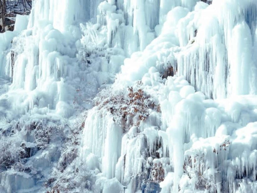 Seoul: Eobi Valley(Winter), Strawberry, Nami Island and Bike - Timing and Pace: Where You’ll Feel the Long Day