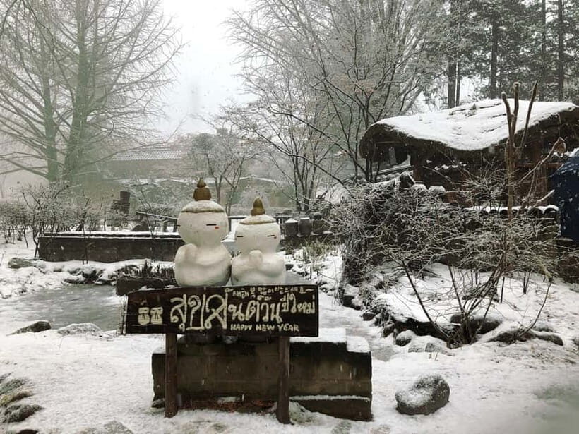 Seoul: Eobi+Nami+Hanbok(+RailBike or Strawberry Options)Tour - Nami Island: Winter Sonata Roots, But the Walk Is the Point