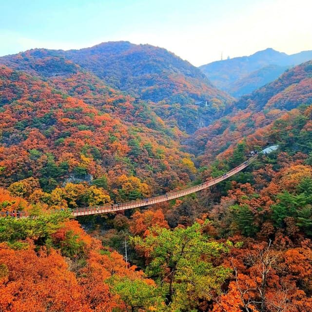 Seoul Full-Day City Tour: Hanok Village, Scenic Routes - Who should book this Seoul Hanok and Sky Park tour