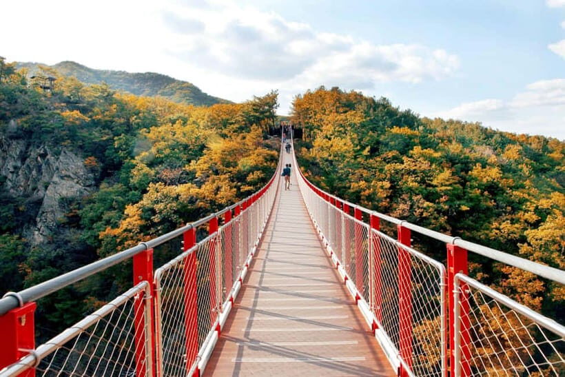 Seoul Full-Day City Tour: Hanok Village, Scenic Routes - Why this Seoul autumn day works: sky views plus temple calm