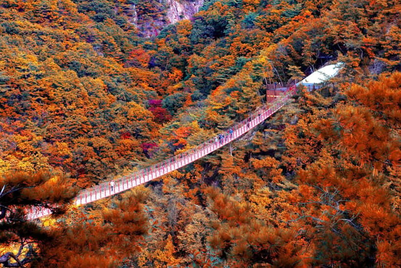 Seoul Full-Day City Tour: Hanok Village, Scenic Routes - Mt. Gamaksan: the 45-meter suspension bridge and a short walk for big angles