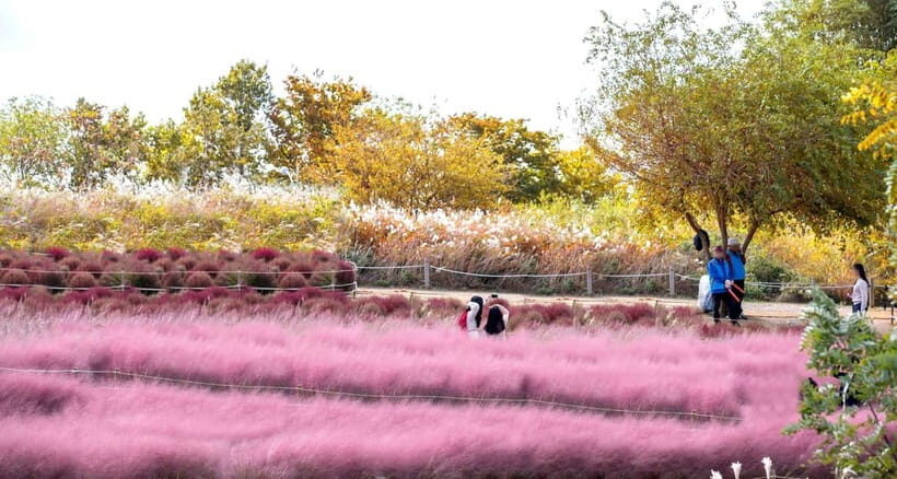 Seoul Full-Day City Tour: Hanok Village, Scenic Routes - Haneul (Sky) Park and the Silver Grass Festival views