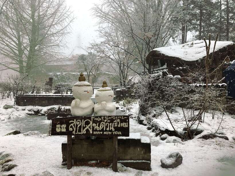 Seoul: Full-Day Winter Trip Ski Resort, Ice Valley, Namiseom - Why This Seoul Winter Day Plan Makes Sense