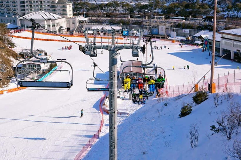 Seoul: Full-Day Winter Trip Ski Resort, Ice Valley, Namiseom - Your Ski and Snowboard Options: Pick the Right One for Your Nerve Level