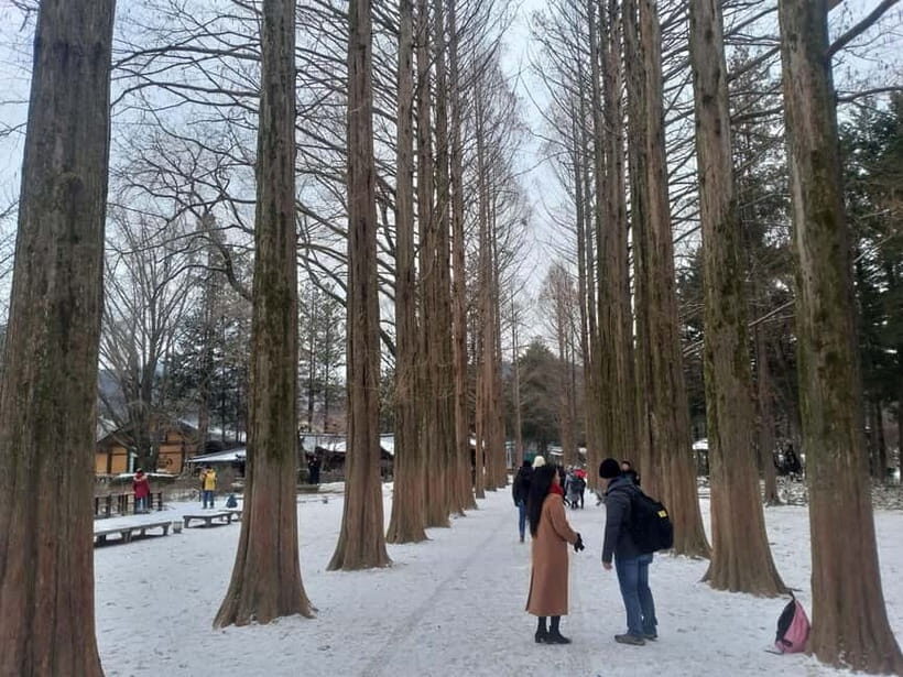 Seoul: Full-Day Winter Trip Ski Resort, Ice Valley, Namiseom - Nami Island in Winter: Photos, Quiet, and the Ferry That Sets the Tone