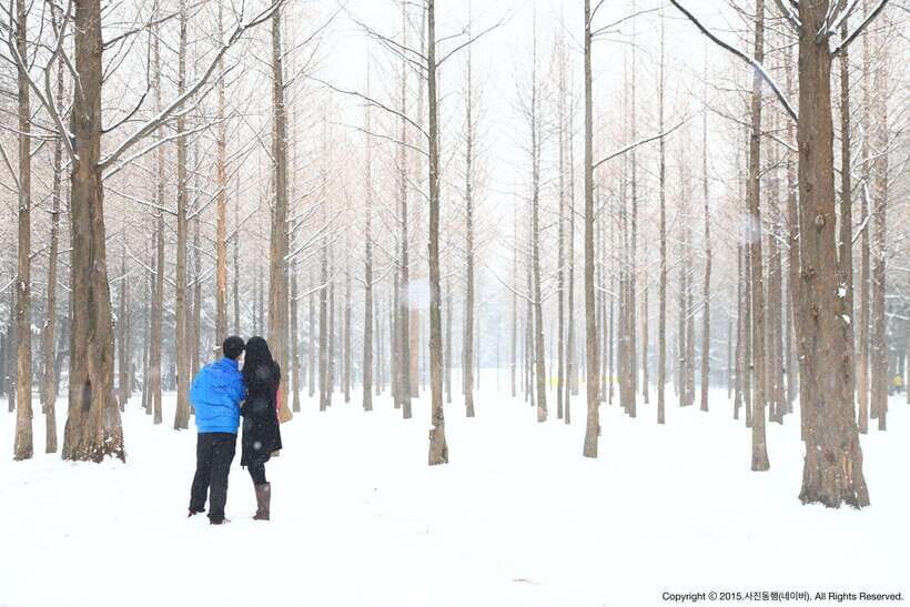 Seoul: Full-Day Winter Trip Ski Resort, Ice Valley, Namiseom - Eobi Ice Valley: A Short Stop That Depends on Mother Nature