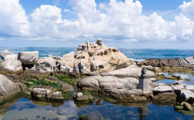 Seoul: Gangneung BTS K-Pop & K-Drama Filming Locations Tour - Beaches and photo stops: Anmok, Jumunjinhaesuyokjang, and BTS Bus Stop