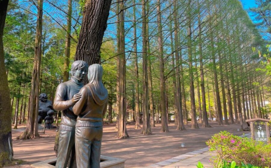Seoul: Gangwon-do Day Trip with Alpaca World & Nami Island - Getting back to Seoul: Hongdae drop-off vs private return