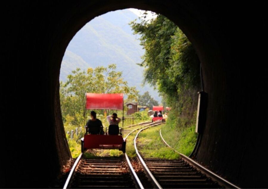 Seoul: Gangwon-do Day Trip with Alpaca World & Nami Island - Garden of Morning Calm: themed paths and photo moments