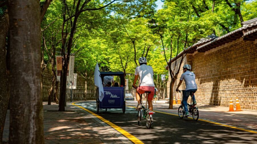Seoul: Guided Small Group V.I.P Morning Pedicab Tour - Key highlights to look forward to