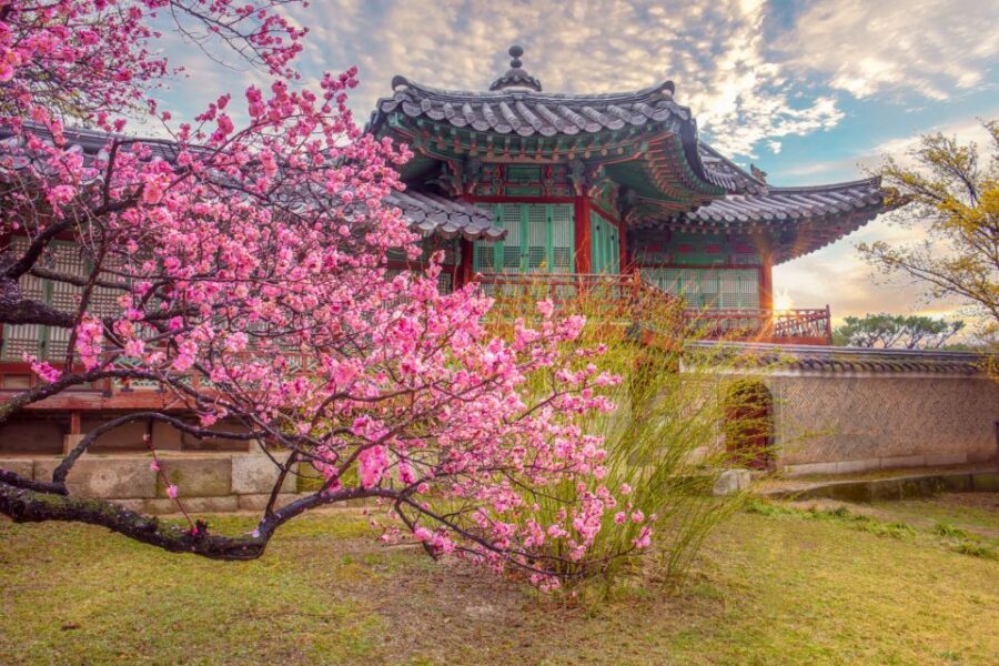 Seoul: Gyeongbok Palace and Bukchon Hanok Walking Tour - National Folk Museum of Korea inside the palace: turning artifacts into daily life