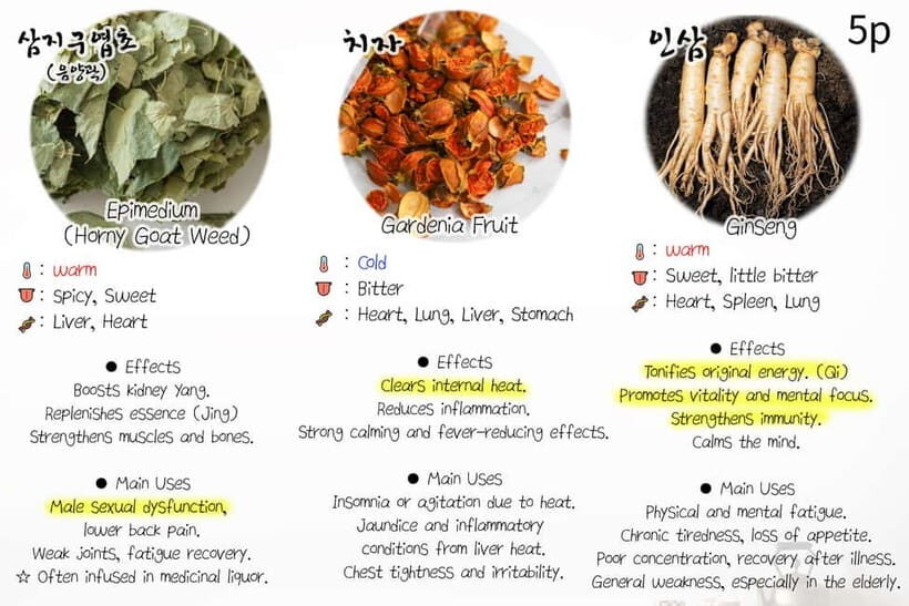 Seoul: Herbal Tea Class & Korean Medicine Tour - Language, Guide Style, and Photo Consent: How to Set Yourself Up for a Smooth Day