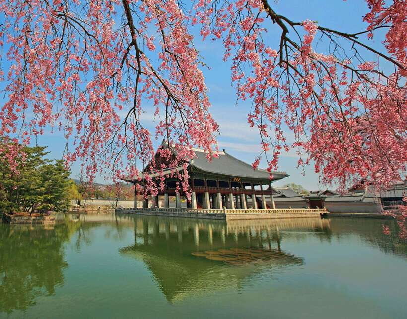 Seoul Highlights: Gyeongbok Palace, Insadong & N Seoul Tower - Why This Seoul Highlights Tour Feels Efficient (Not Rushed)