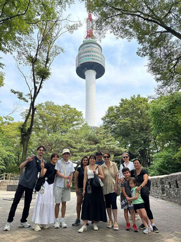 Seoul Highlights: Gyeongbok Palace, Insadong & N Seoul Tower - N Seoul Tower by Round-Trip Cable Car