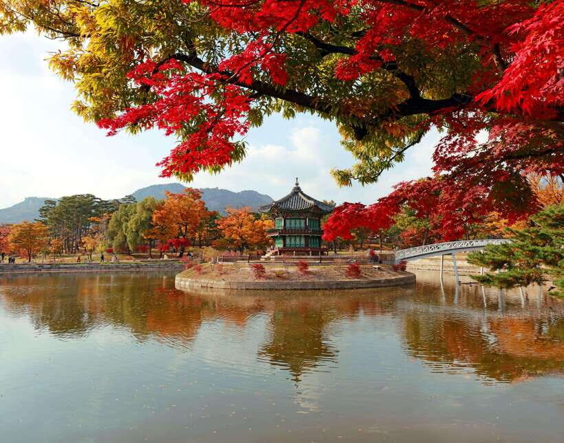 Seoul Highlights: Gyeongbok Palace, Insadong & N Seoul Tower - The Changing of the Guard at Gwanghwamun Gate