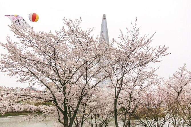 Seoul Highlights & Hidden Gems – Private Tour with Photo Service - How this private photo tour changes Seoul sightseeing