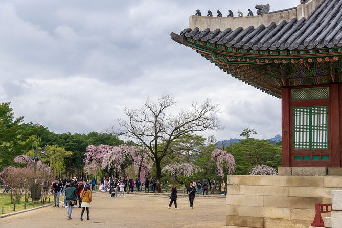 Seoul Highlights & Hidden Gems – Private Tour with Photo Service - Price and value: is $210 per person fair?