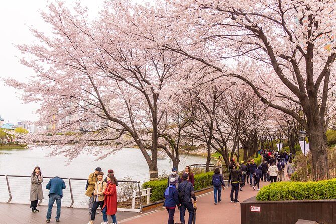 Seoul Highlights & Hidden Gems – Private Tour with Photo Service - Pickup, comfort, and avoiding the transit headache