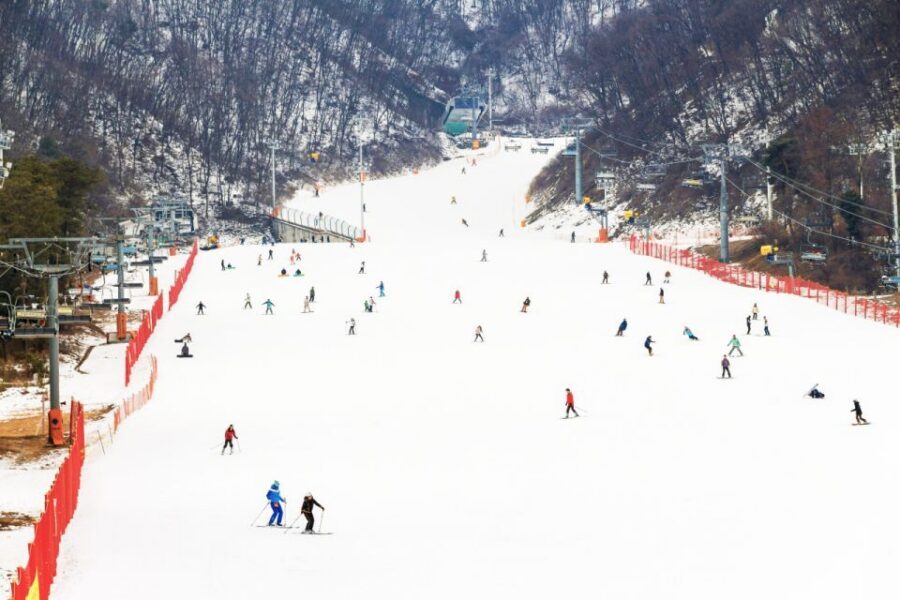 Seoul: Jisan Forest Winter Ski Day Tour with Basic Lesson - Jisan Forest Resort: Why this one-day ski setup works