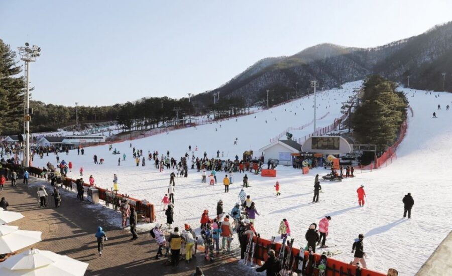 Seoul: Jisan Forest Winter Ski Day Tour with Basic Lesson - Value check: what $19 gets you (and what it doesn’t)