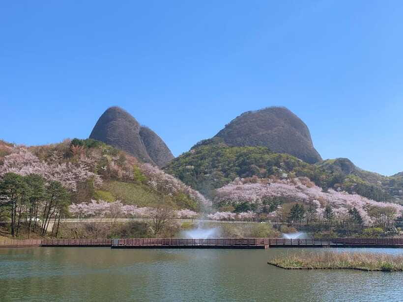 Seoul: Maisan Cherry Blossom and Jeonju Hanok Day Tour - Should you book the Seoul Maisan Cherry Blossom and Jeonju Hanok Day Tour?