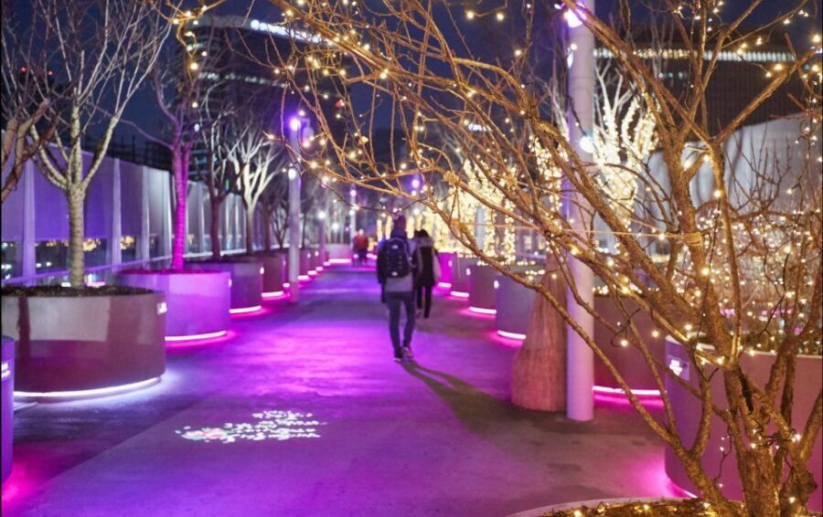 Seoul: Moonlight Rainbow Fountain Show Night Tour - Price and value: what $69 really buys you