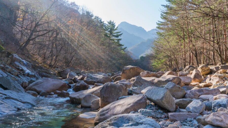 Seoul: Mt Seorak + Naksansa Temple or Nami Island Group Tour - A 13–14 hour East Coast day, built for real sightseeing