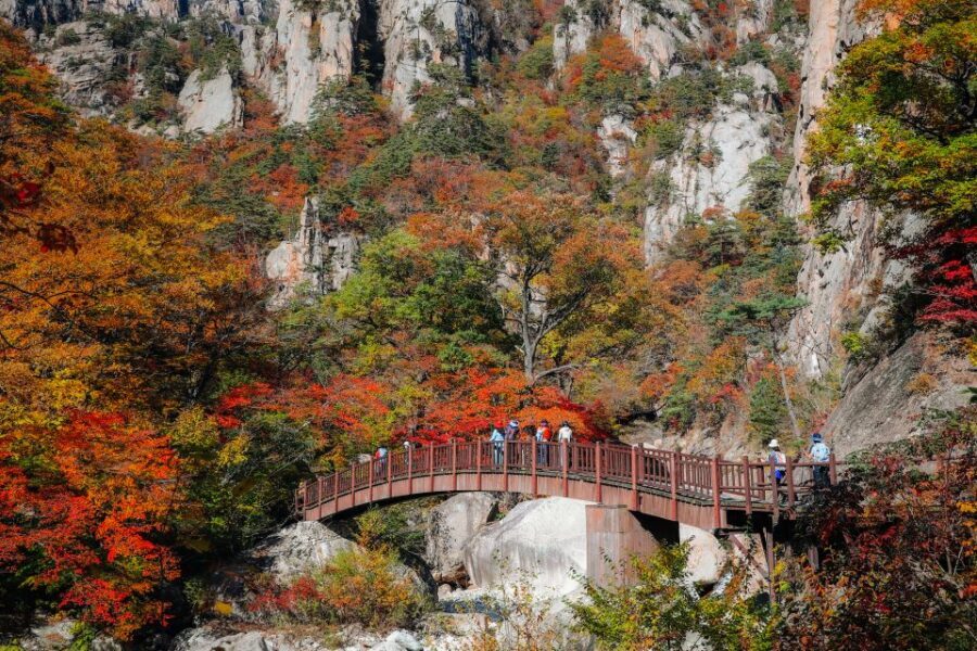 Seoul: Mt Seorak + Naksansa Temple or Nami Island Group Tour - Meet the rhythm: bus time, park time, and where it can feel tight
