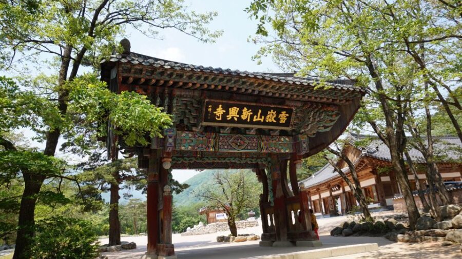 Seoul: Mt Seorak + Naksansa Temple or Nami Island Group Tour - Naksansa Temple: ancient stone, sea views, and a seasonal cherry-blossom moment