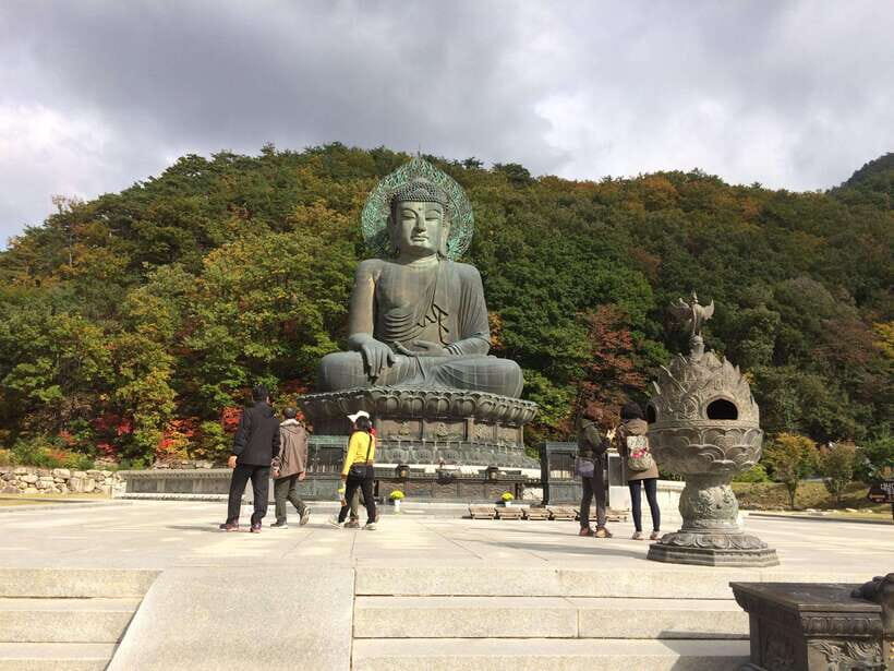 Seoul: Mt.Seorak(+CableCar Option)+Sokcho Fish Market&Beach - Cable car option: how to decide based on weather and your comfort level