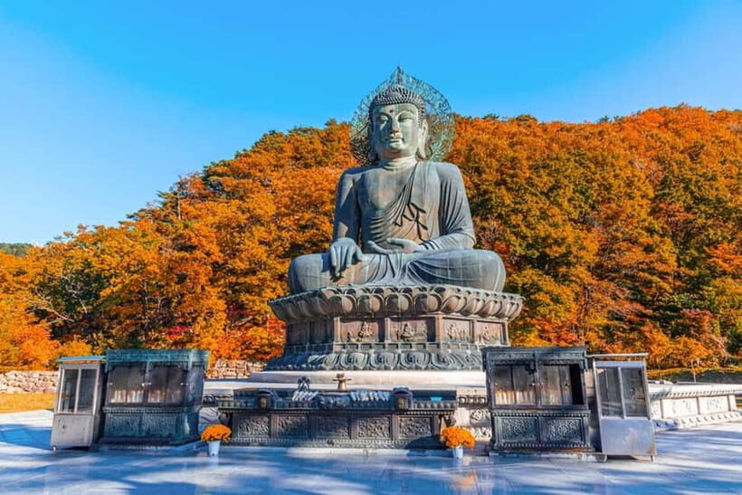 Seoul: Mt. Seoraksan National Park Autumn Foliage Day Tour - What to Know Up Front Before You Go