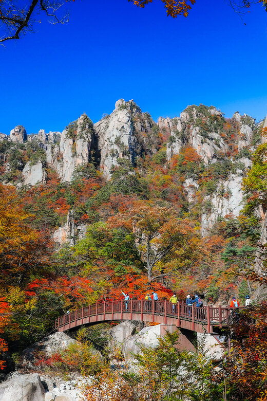 Seoul: Mt. Seoraksan National Park Autumn Foliage Day Tour - Key Highlights Worth Your Time