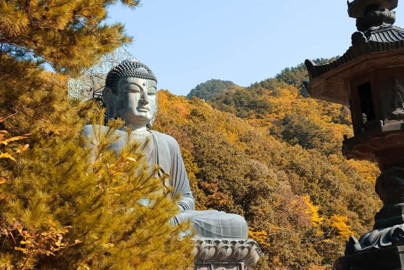 Seoul: Mt. Seoraksan National Park Autumn Foliage Day Tour - Arriving Around 10:00 AM: What Seoraksan Looks Like in Autumn