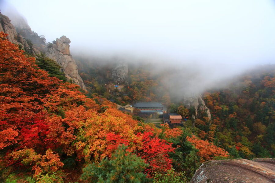Seoul: Mt. Seoraksan National Park Autumn Foliage Day Tour - Temples and Quiet Stops: Getting More Than Views