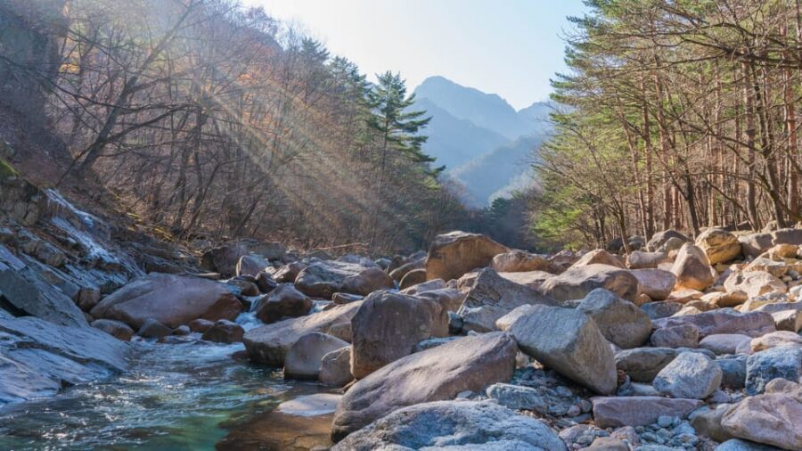 Seoul: Mt. Seoraksan National Park Autumn Foliage Day Tour - Price and Value: When $60 Makes Sense (and When It Doesn’t)