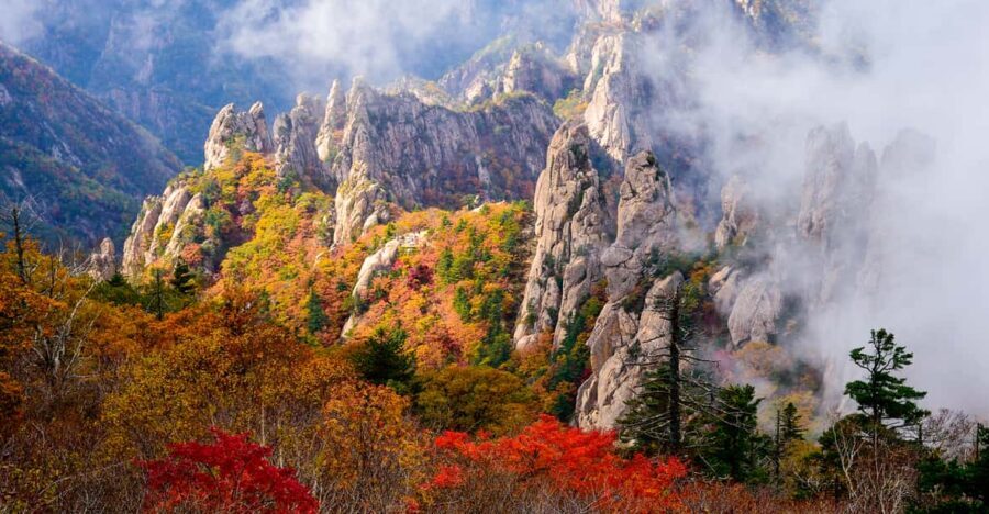 Seoul: Mt. Seoraksan National Park Autumn Foliage Day Tour - Morning Pick-Up: The Value of Leaving Seoul Early