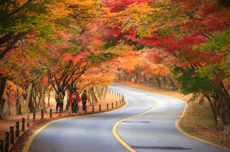 Seoul: Naejangsan National Park Autumn Foliage One Day Tour - Key things I’d watch for