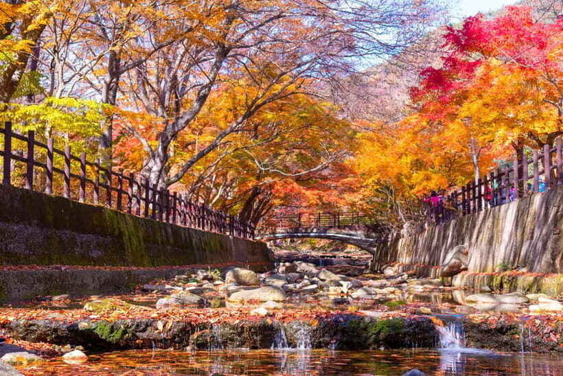 Seoul: Naejangsan National Park Autumn Foliage One Day Tour - How to get the most out of your hike (without overthinking it)