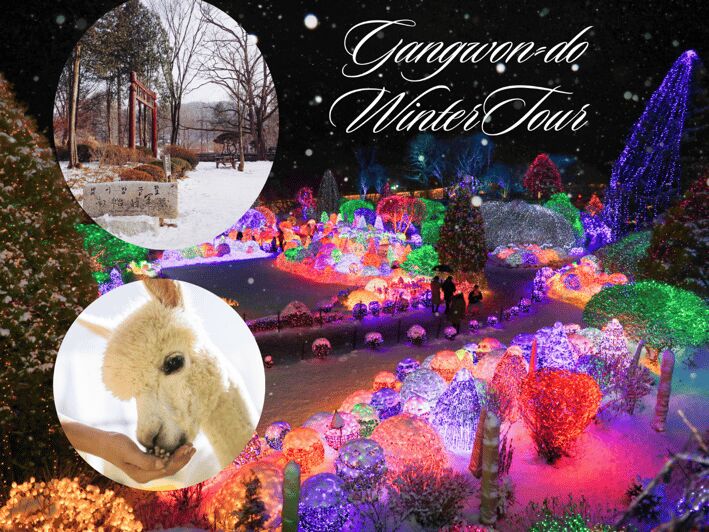 Seoul: Nami and K-Garden with Optional Alpaca Winter Tour - Eobi Valley in winter: the ice wall moment