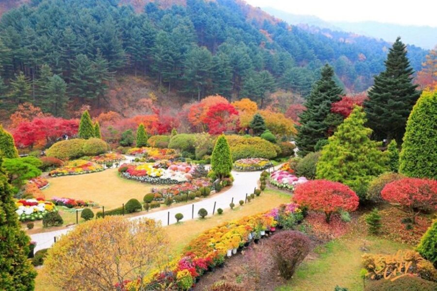 Seoul: Nami and Petite France Tour with Optional K-Garden - Key things to know before you go