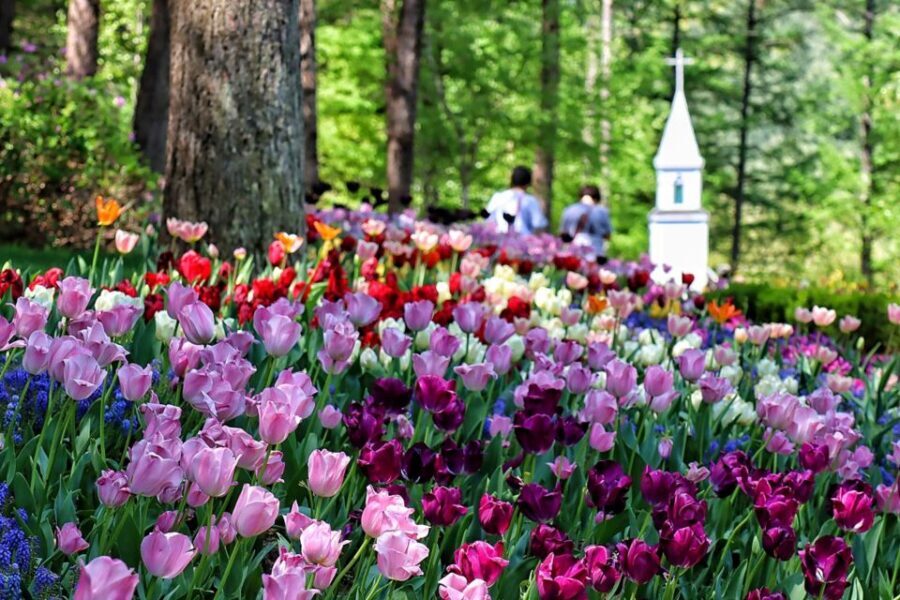 Seoul: Nami and Petite France Tour with Optional K-Garden - Price and value: what $50 covers, and what it doesn’t