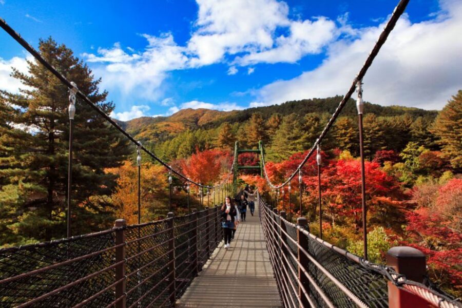 Seoul: Nami and Petite France Tour with Optional K-Garden - Who should book this Nami and Petite France day trip