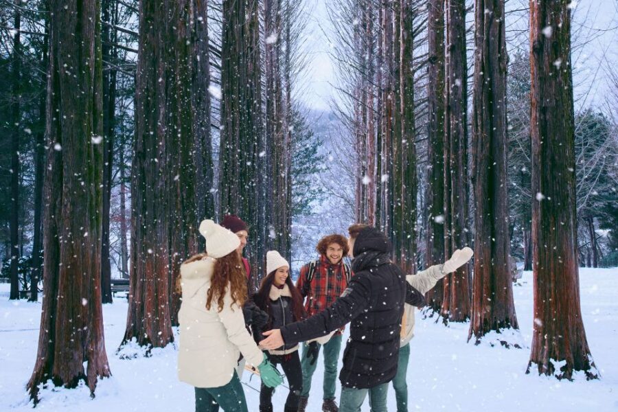 Seoul: Nami and Petite France Tour with Optional K-Garden - Should you book this tour?