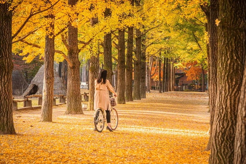 Seoul: Nami Island and Garden of Morning Calm opt Railbike - Gangchon Rail Park rail bike: the slow ride along the river