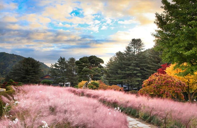 Seoul: Nami Island and Garden of Morning Calm opt Railbike - What to pack and how to stay comfortable all day