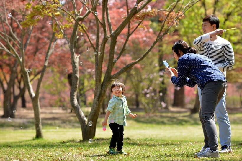 Seoul: Nami Island & Petite France Tour with Railbike Option - Why Nami Island and Petite France fit together in one long day