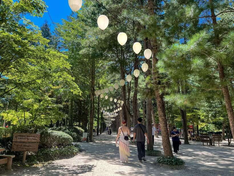 Seoul: Nami Island & Petite France Tour with Railbike Option - Petite France (Gapyeong): bright streets, drama filming energy, and a time check