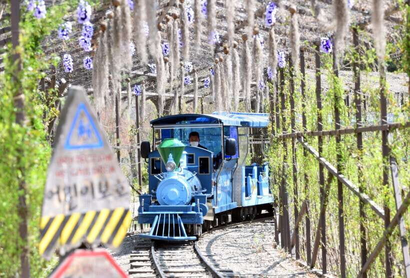 Seoul: Nami Island & Petite France Tour with Railbike Option - Nami Island: how to make the most of 3.5 hours on foot